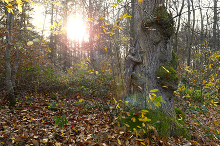 NATURE ART:  Herbst / Autumn Bodypainting