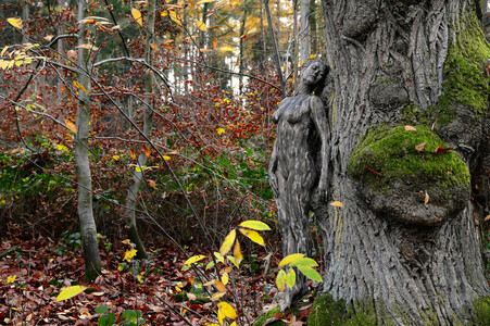 NATURE ART:  Herbst / Autumn Bodypainting