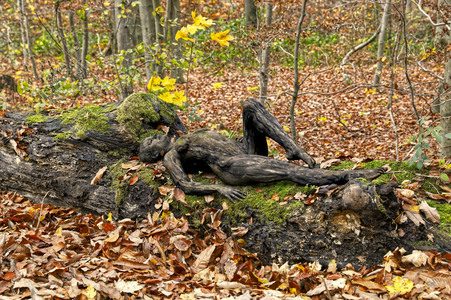 NATURE ART:  Herbst / Autumn Bodypainting