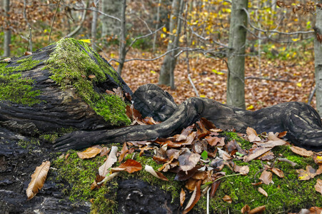 NATURE ART:  Herbst / Autumn Bodypainting