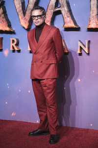 Filmpremiere 'Avatar: Fire and Ash' in London