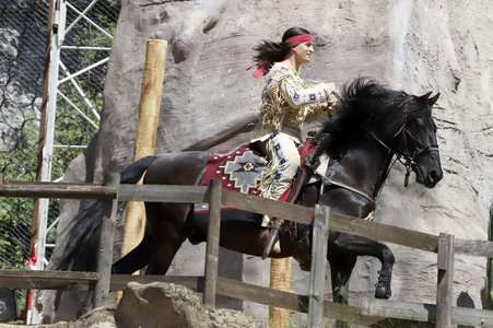 Pressetermin 'Halblut' in Bad Segeberg