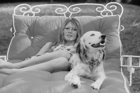 Brigitte Bardot gestorben