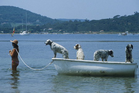 Brigitte Bardot gestorben