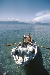 Brigitte Bardot gestorben