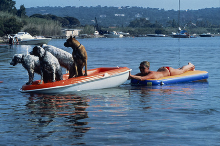Brigitte Bardot gestorben