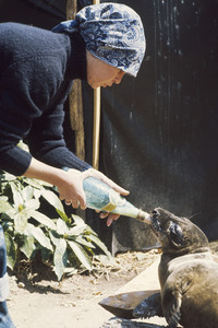 Brigitte Bardot gestorben