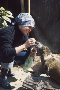Brigitte Bardot gestorben