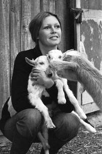 Brigitte Bardot gestorben