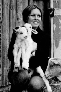 Brigitte Bardot gestorben