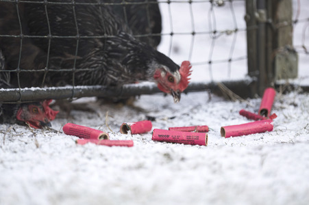 Symbolbild Feuerwerkskörper-Müll