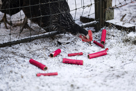 Symbolbild Feuerwerkskörper-Müll