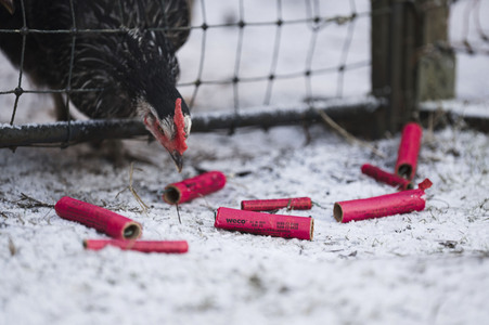 Symbolbild Feuerwerkskörper-Müll