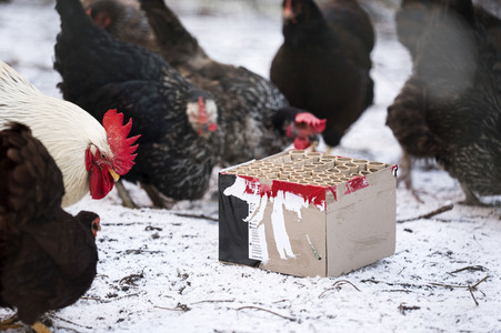 Symbolbild Feuerwerkskörper-Müll