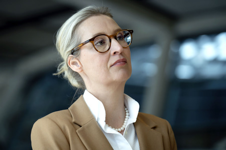 Fraktionssitzung der AfD-Bundestagsfraktion in Berlin