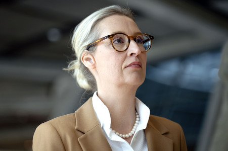 Fraktionssitzung der AfD-Bundestagsfraktion in Berlin