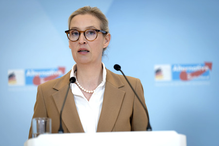 Fraktionssitzung der AfD-Bundestagsfraktion in Berlin