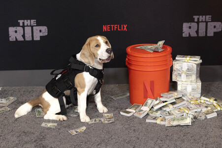 Filmpremiere 'The Rip' in New York