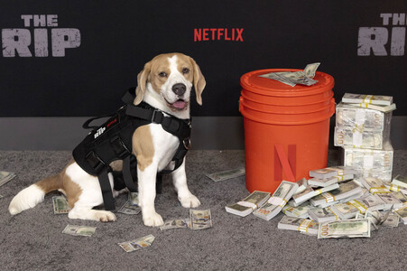 Filmpremiere 'The Rip' in New York