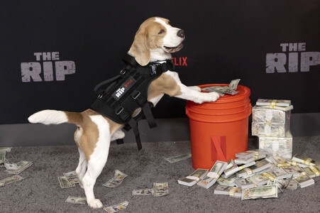 Filmpremiere 'The Rip' in New York