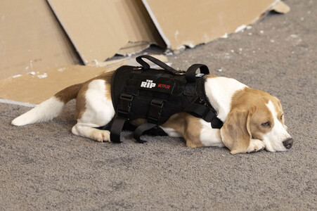 Filmpremiere 'The Rip' in New York