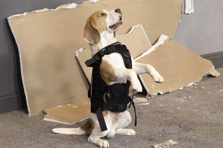 Filmpremiere 'The Rip' in New York