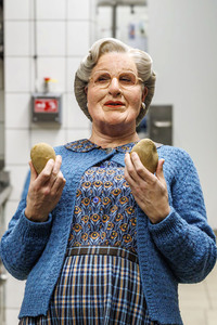 Kochnachhilfe für Mrs. Doubtfire von Fernsehkoch Sebastian Lege in Düsseldorf