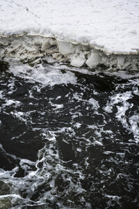 Eisschollen in Geesthacht