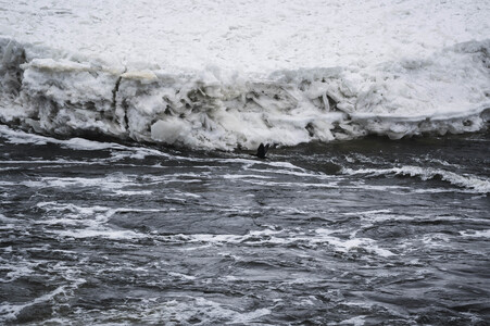 Eisschollen in Geesthacht