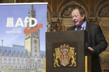 AfD-Veranstaltung 'Fraktion im Dialog' in Hamburg