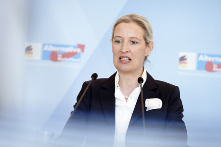 Fraktionssitzung der AfD-Bundestagsfraktion in Berlin