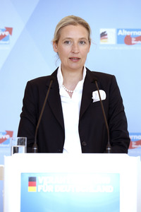 Fraktionssitzung der AfD-Bundestagsfraktion in Berlin