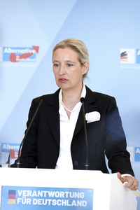 Fraktionssitzung der AfD-Bundestagsfraktion in Berlin