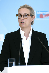 Fraktionssitzung der AfD-Bundestagsfraktion in Berlin