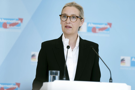 Fraktionssitzung der AfD-Bundestagsfraktion in Berlin