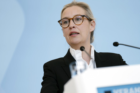 Fraktionssitzung der AfD-Bundestagsfraktion in Berlin