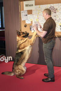 Filmpremiere 'Kommissar Rex' in München