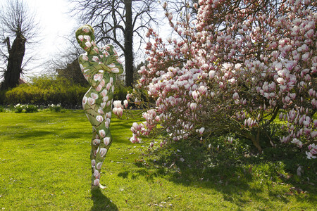 NATURE ART: Magnolien / Magnolias Bodypainting