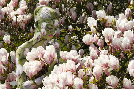 NATURE ART: Magnolien / Magnolias Bodypainting