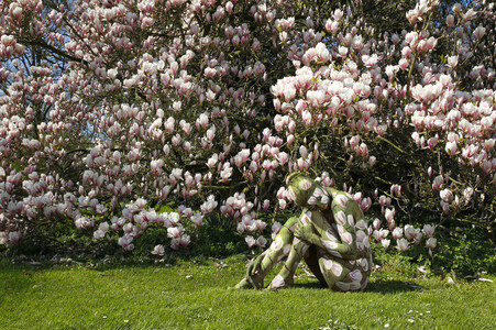 NATURE ART: Magnolien / Magnolias Bodypainting