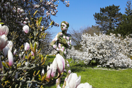 NATURE ART: Magnolien / Magnolias Bodypainting