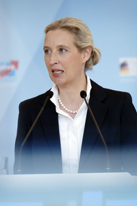 Fraktionssitzung der AfD-Bundestagsfraktion in Berlin