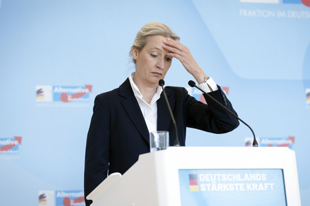 Fraktionssitzung der AfD-Bundestagsfraktion in Berlin