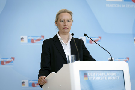 Fraktionssitzung der AfD-Bundestagsfraktion in Berlin
