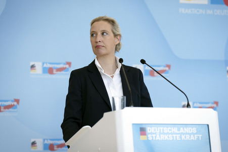 Fraktionssitzung der AfD-Bundestagsfraktion in Berlin