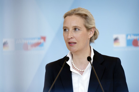 Fraktionssitzung der AfD-Bundestagsfraktion in Berlin