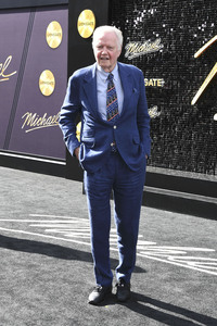 Filmpremiere 'Michael' in Los Angeles