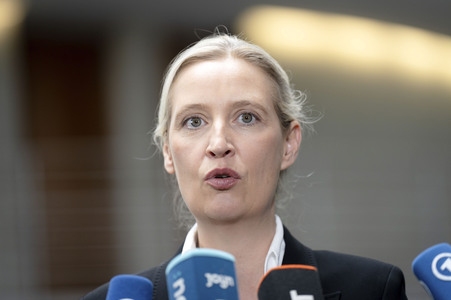 Fraktionsspitzentreffen der AfD-Fraktionen in Berlin
