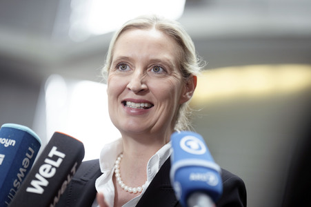 Fraktionsspitzentreffen der AfD-Fraktionen in Berlin