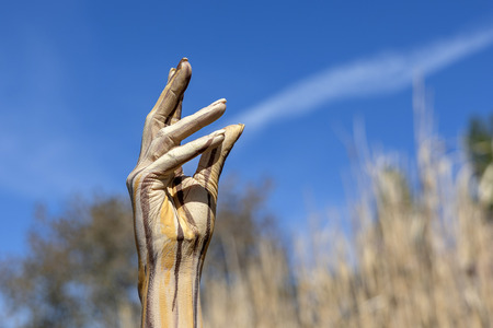 NATURE ART: Schilf / Reeds Bodypainting